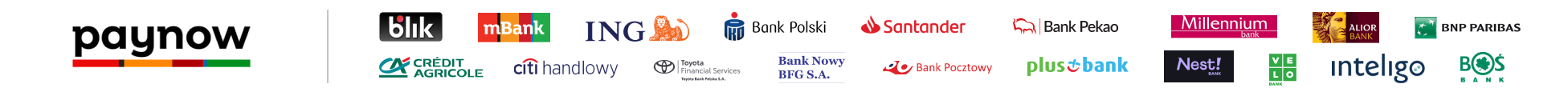 paynowa-baner